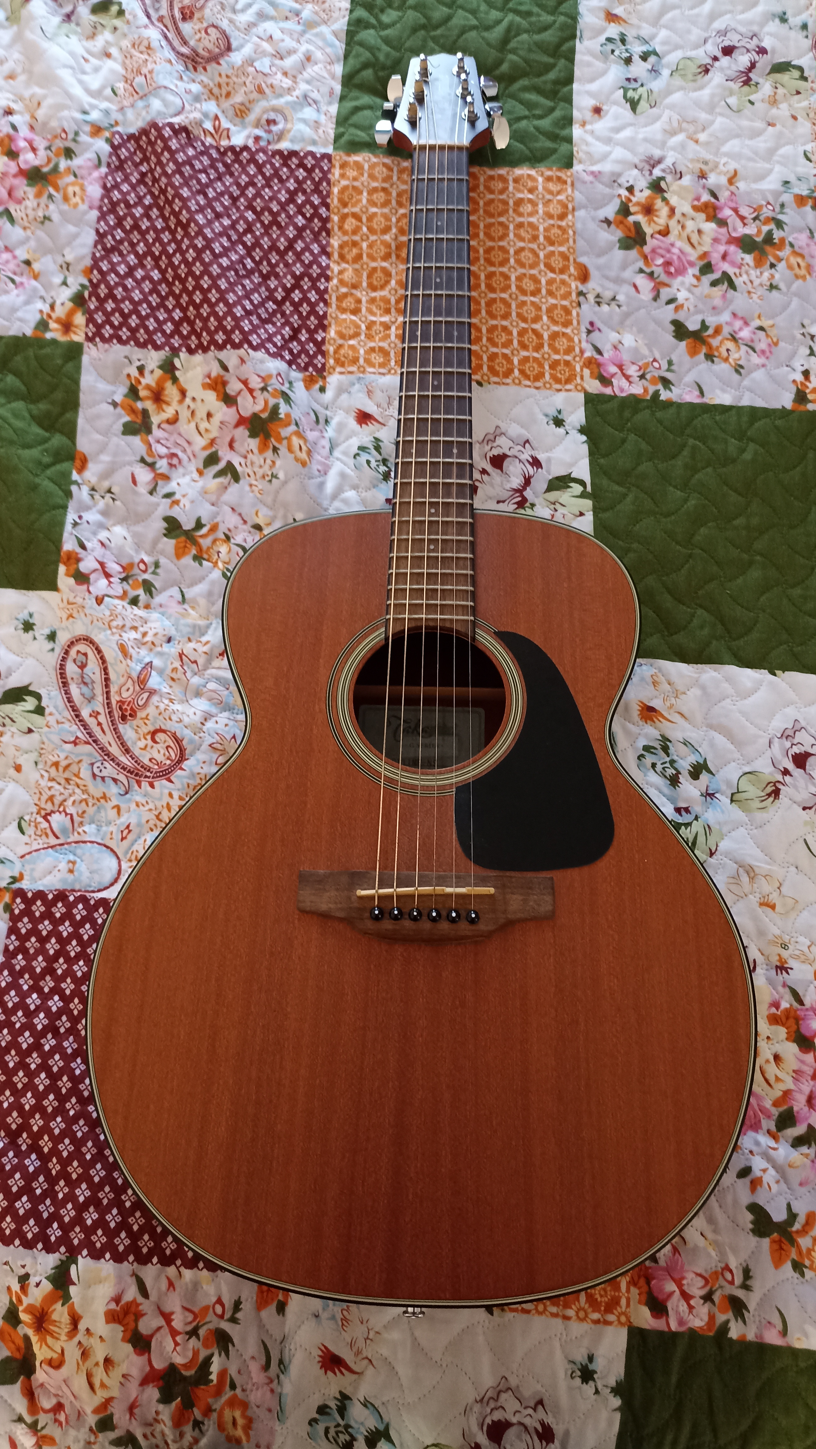 Takamine Guitarras Usadas Usado en San Pedro Tlaquepaque por $7,500