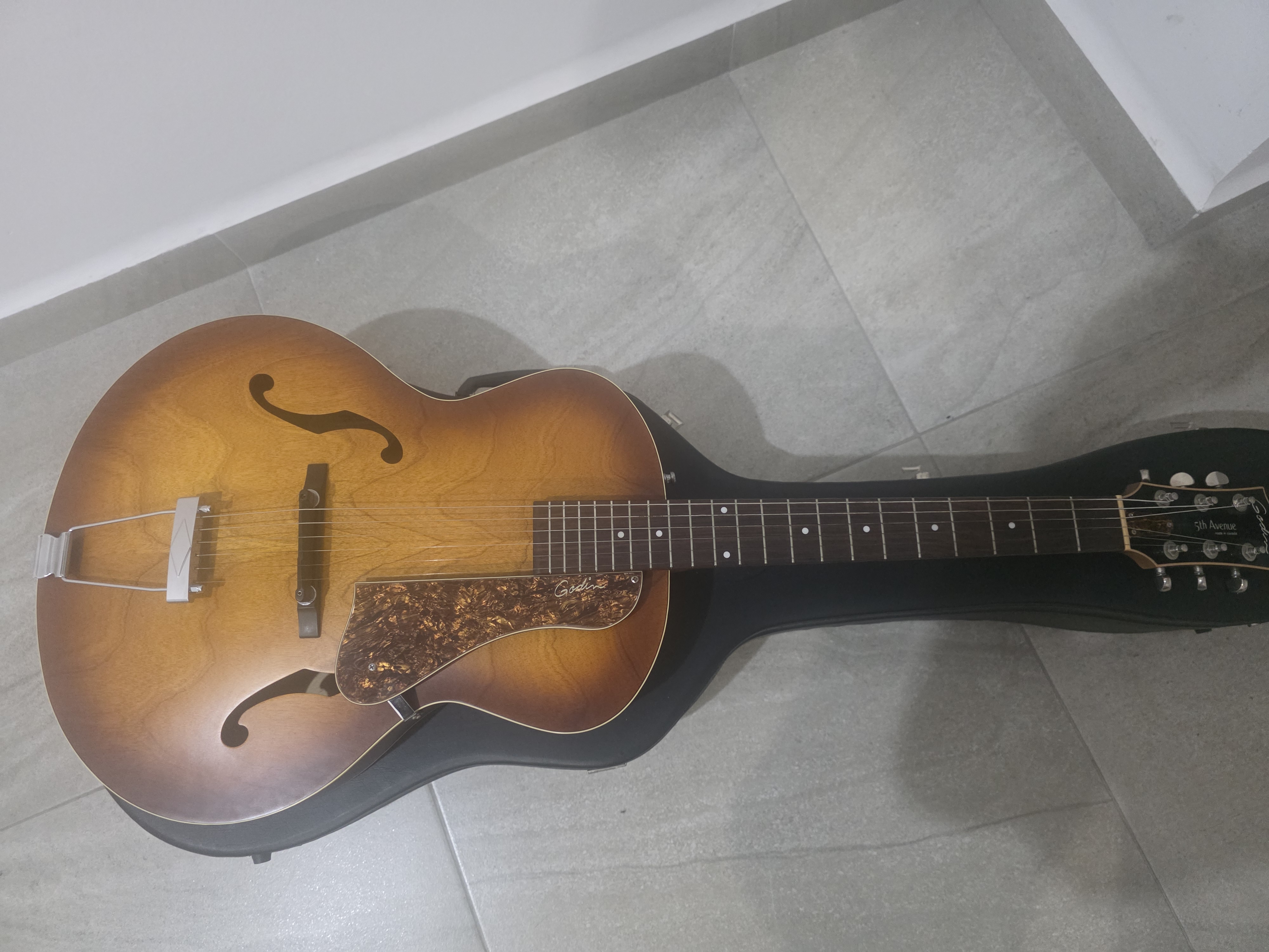 Godin Guitarras Acusticas Usado en León por $12,000