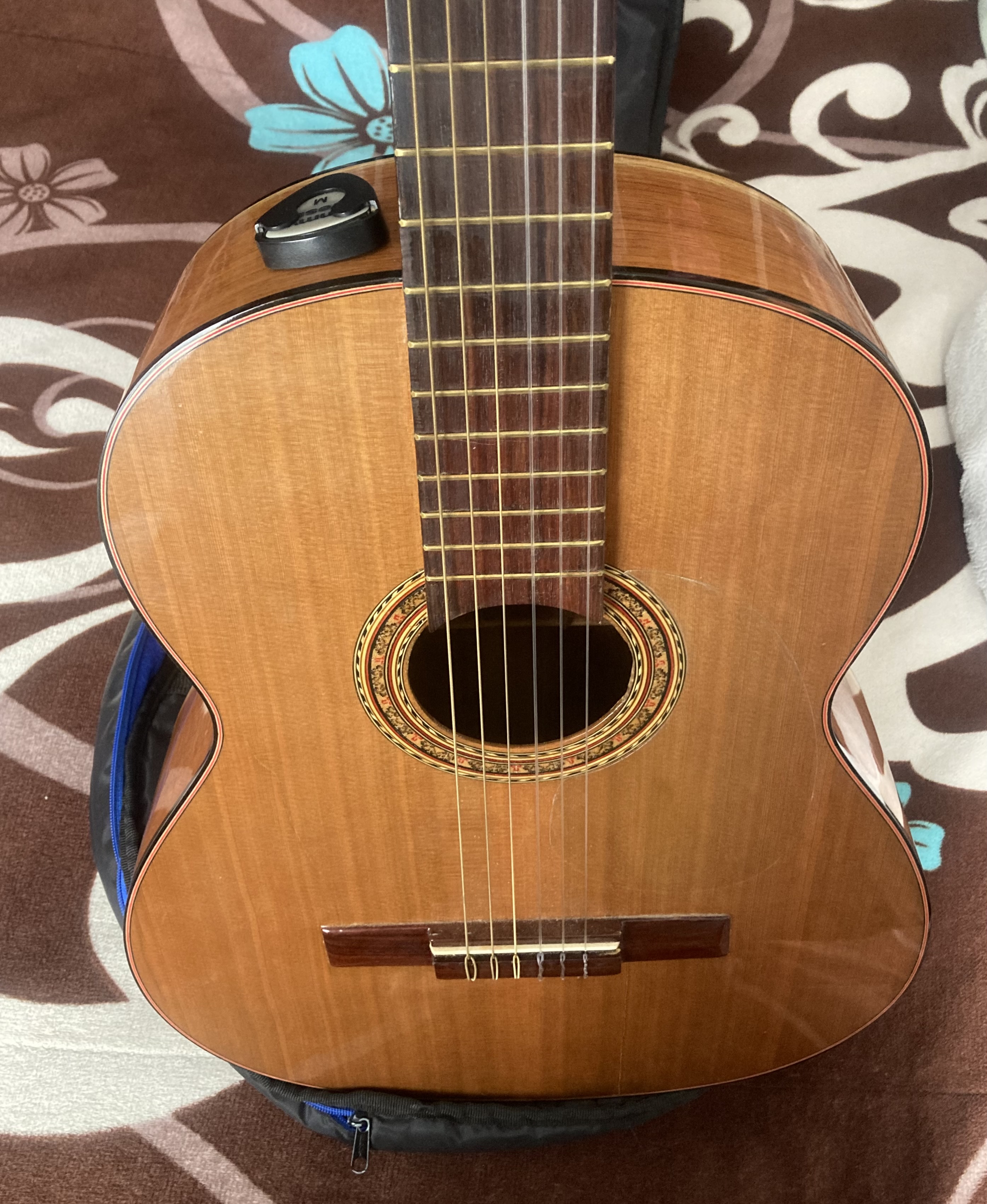 Alberto Jasso  Guitarras Usadas Usado en León por $1,500