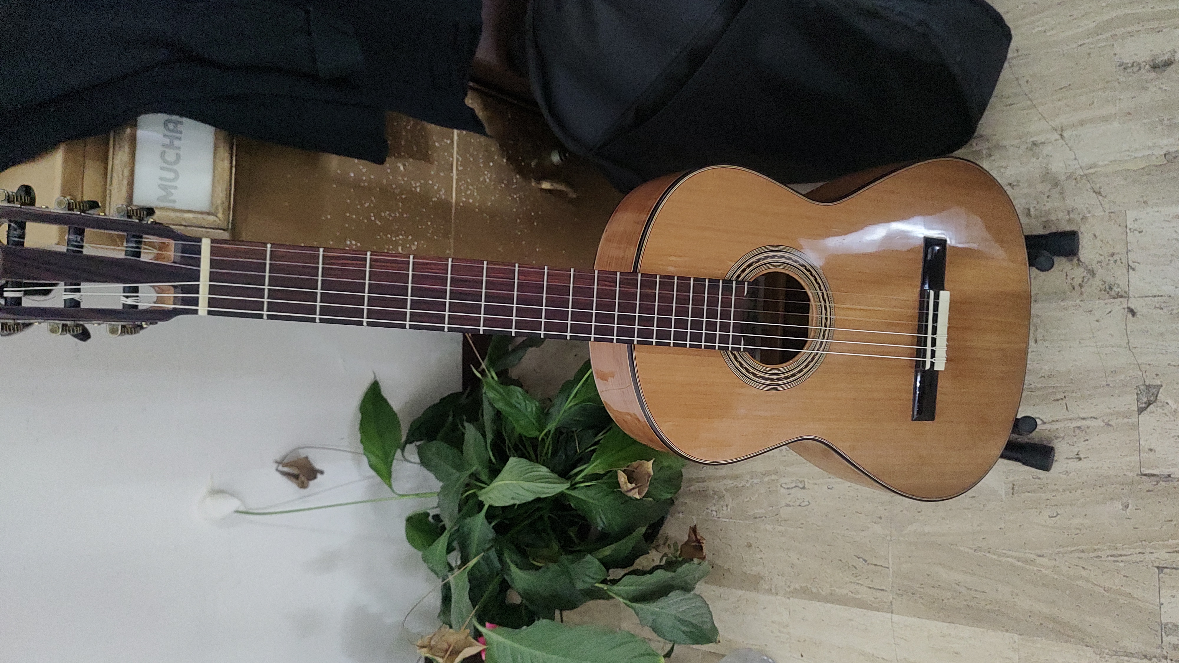 Luis Cano Alejo Guitarras Clasicas De Estudio Usado en Yauhquemehcan por $12,500